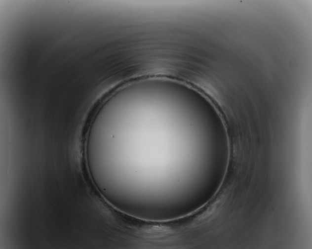 X0000088391119200705291402