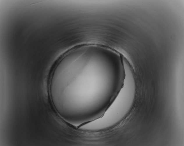 X0000088391120200705291402