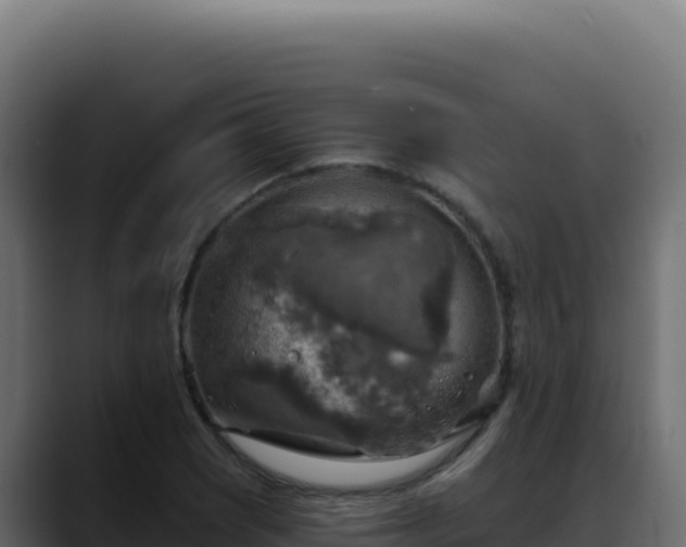 X0000088391121200705291402