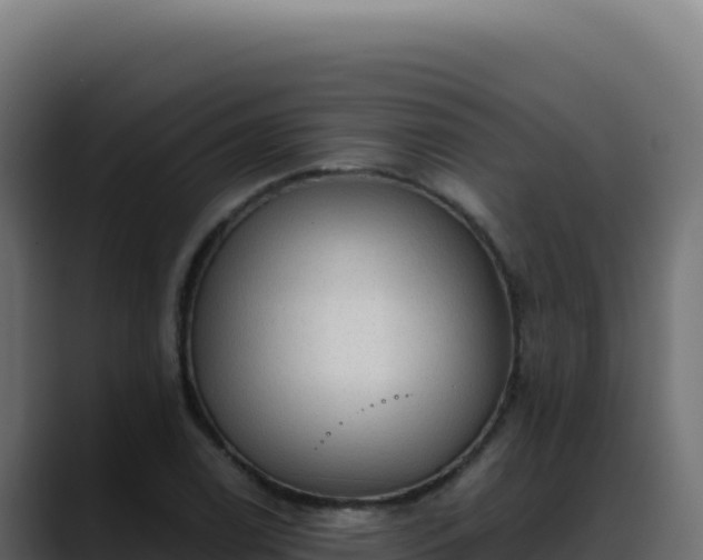 X0000088391122200705291402