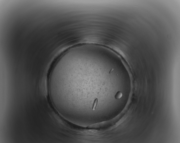 X0000088391123200705291402