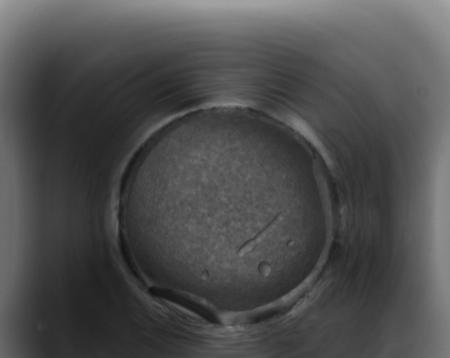 X0000088391124200705291402