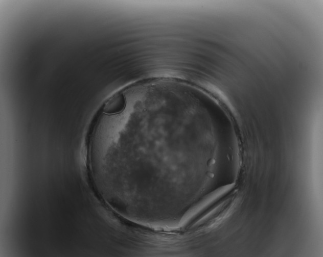 X0000088391125200705291402