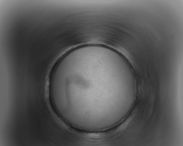 X0000088391126200705291402