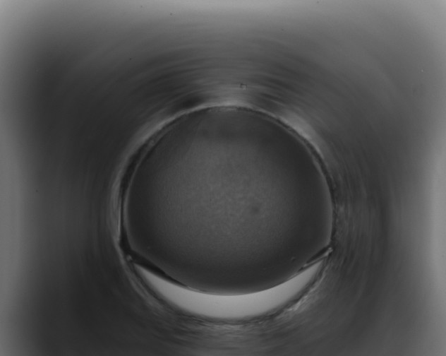 X0000088391127200705291402