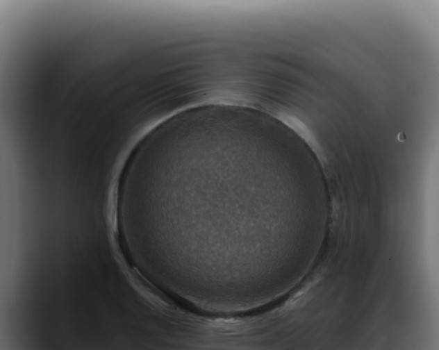 X0000088391128200705291402