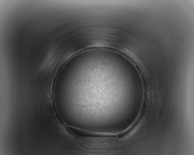 X0000088391129200705291402