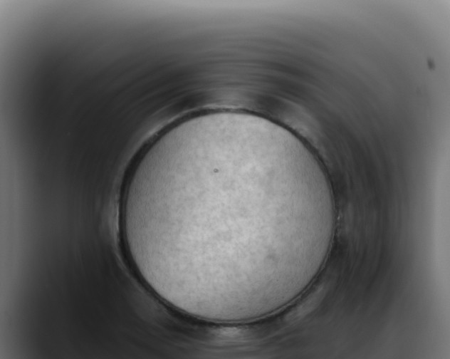 X0000088391130200705291402