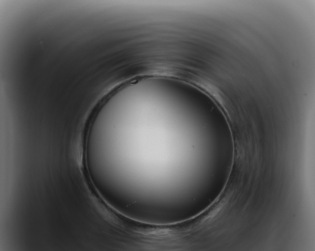 X0000088391131200705291402