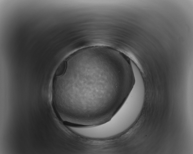 X0000088391132200705291403