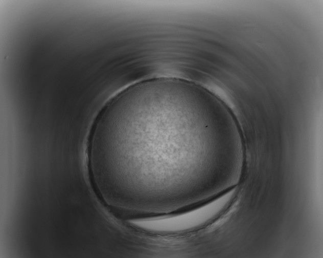 X0000088391133200705291403