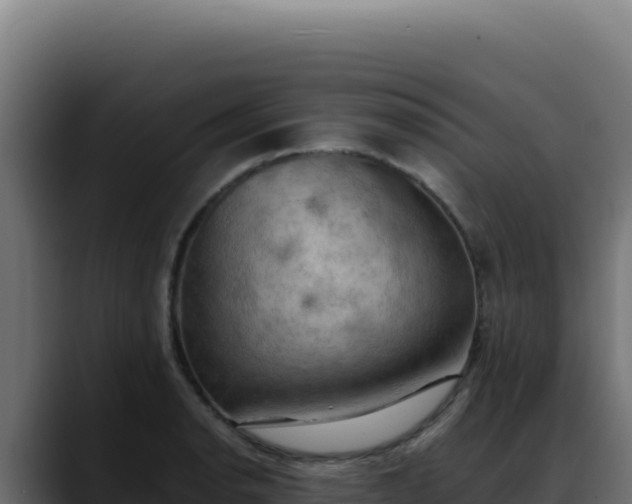 X0000088391134200705291403