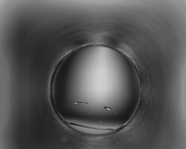 X0000088391135200705291403