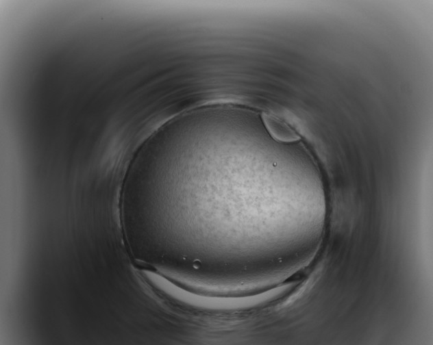 X0000088391137200705291403