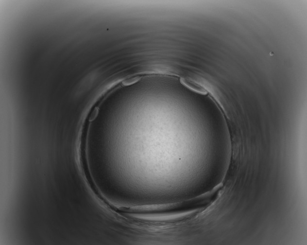 X0000088391139200705291403