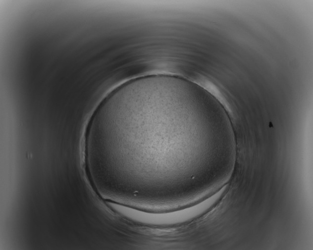 X0000088391140200705291403