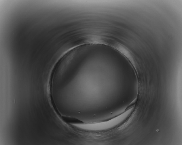 X0000088391141200705291403