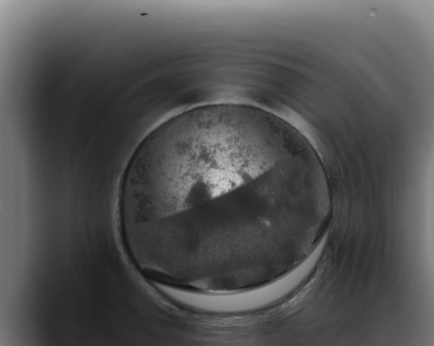 X0000088391142200705291403