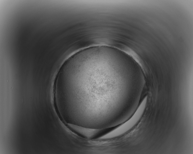 X0000088391143200705291403