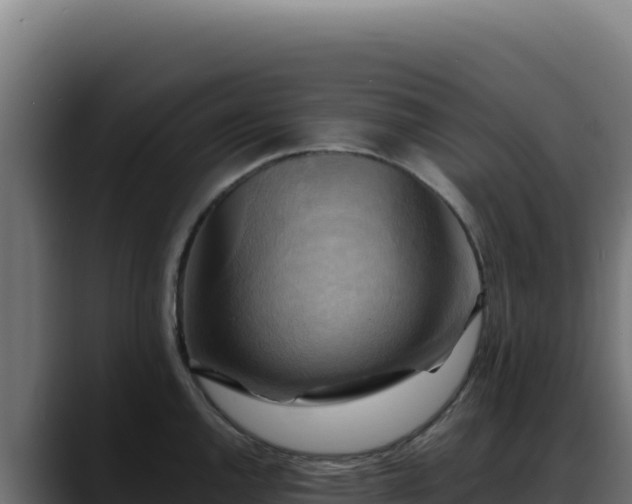 X0000088391144200705291403