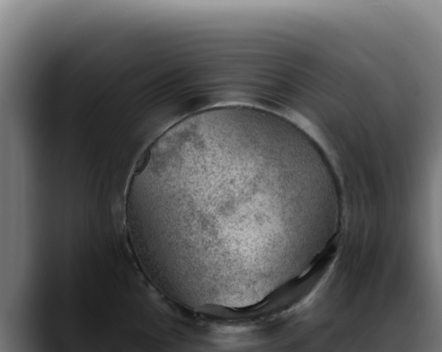 X0000088391145200705291403