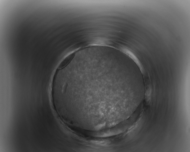 X0000088391146200705291403