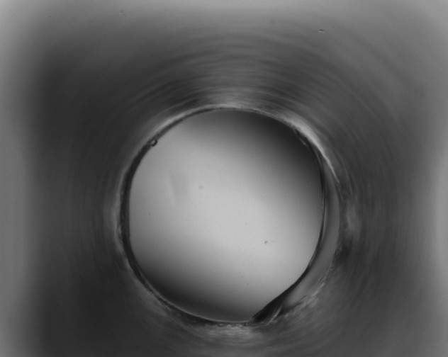 X0000088391147200705291403