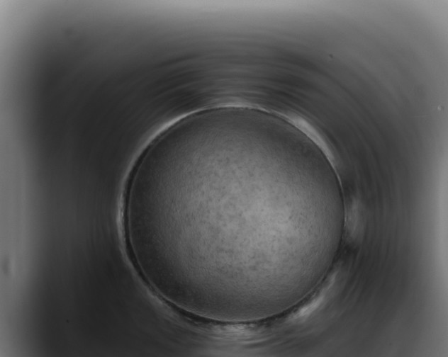 X0000088391149200705291403