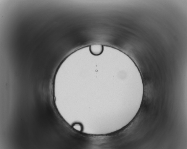 X0000088391150200705291403