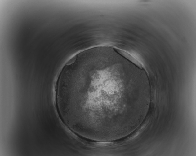 X0000088391151200705291403