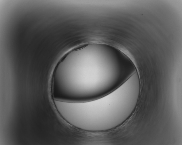 X0000088391152200705291403