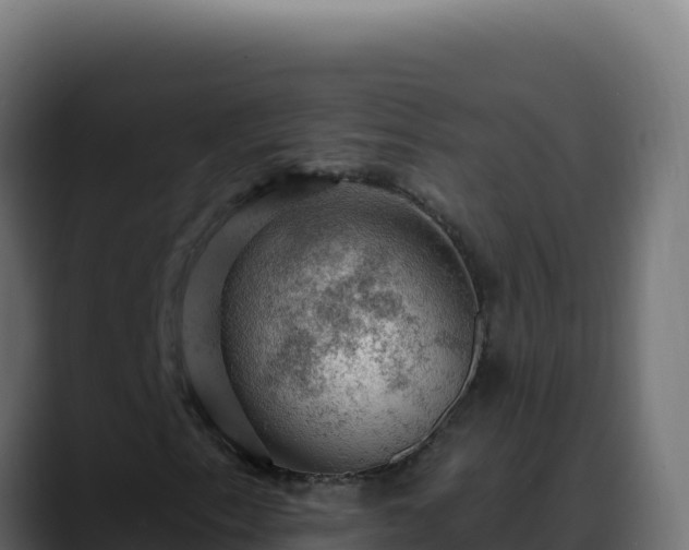 X0000088391153200705291402