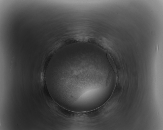 X0000088391154200705291402