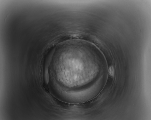 X0000088391155200705291402