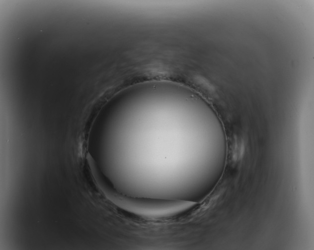 X0000088391157200705291402