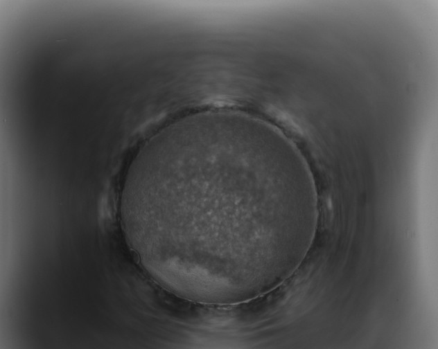 X0000088391158200705291402