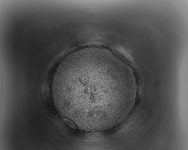 X0000088391159200705291402