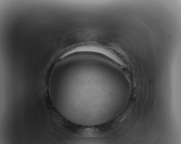 X0000088391160200705291402