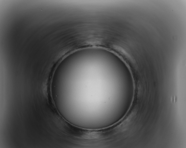 X0000088391162200705291402