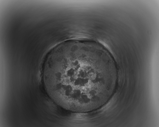 X0000088391163200705291402