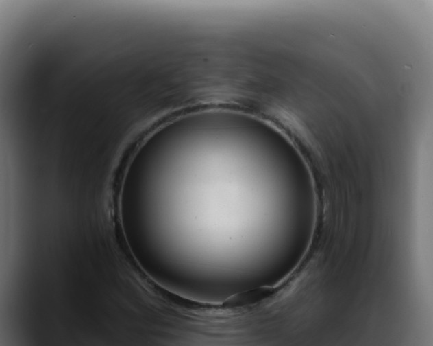 X0000088391164200705291402