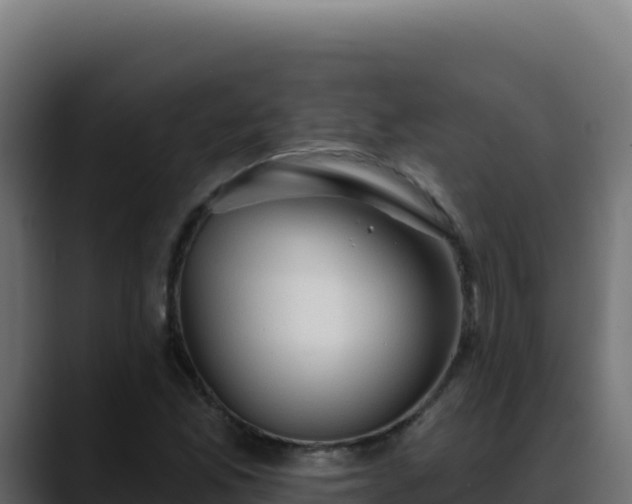 X0000088391165200705291402