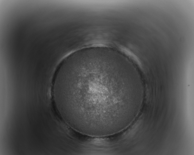 X0000088391166200705291402