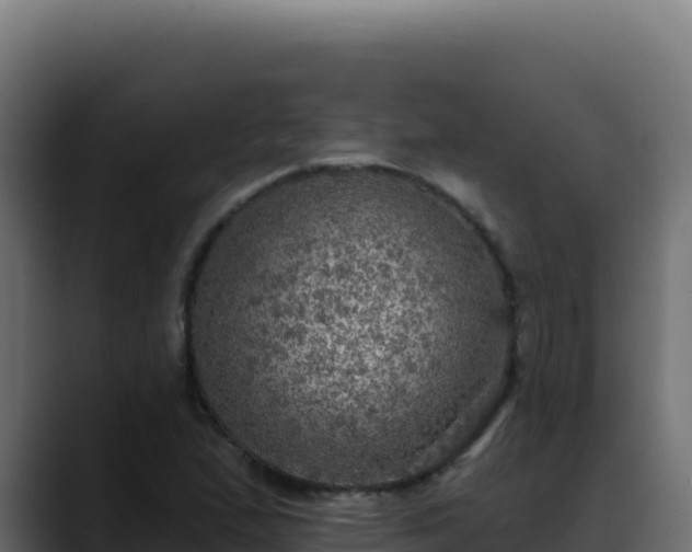 X0000088391167200705291402