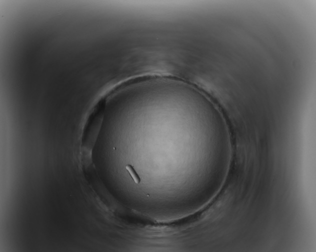 X0000088391168200705291402