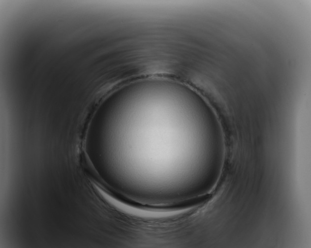 X0000088391169200705291402