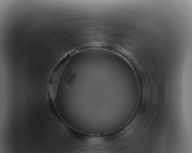 X0000088391170200705291402