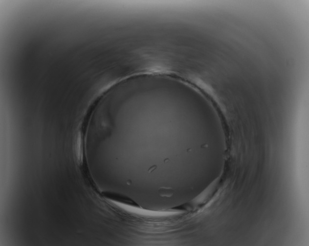 X0000088391171200705291402