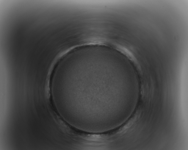 X0000088391172200705291402