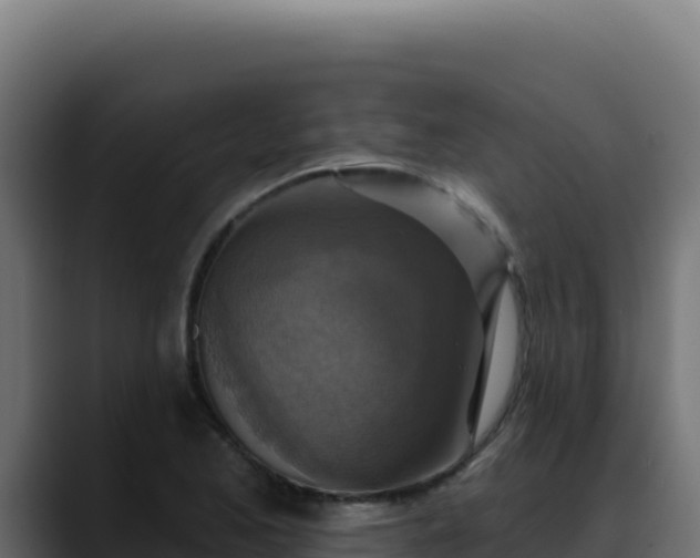 X0000088391173200705291402